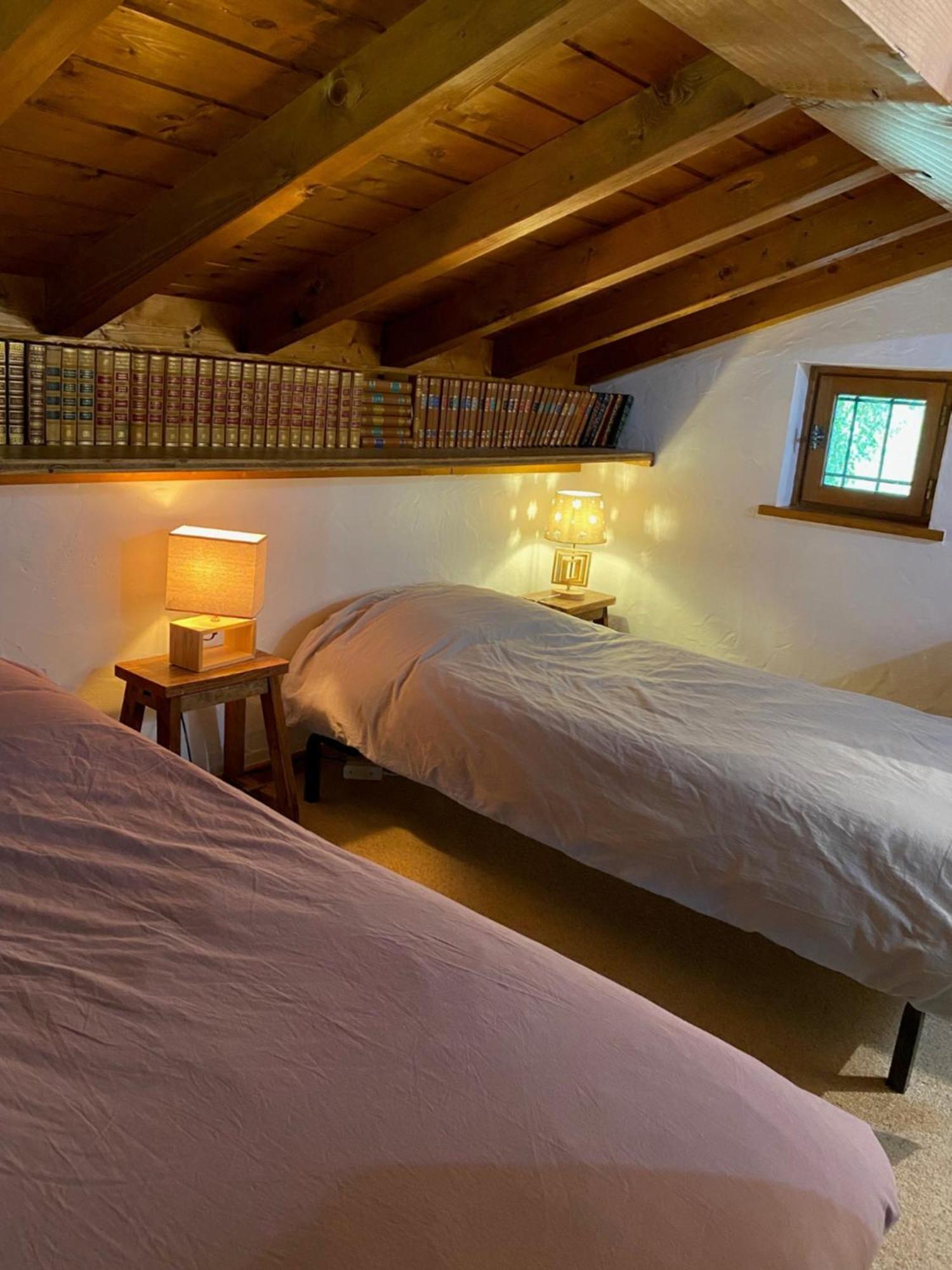 Chalet Erminea Chamonix Kültér fotó